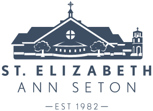 SEAS Footer Logo